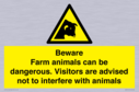 beware-farm-animals-can-be-dangerous-visitors-are-advised-not-to-interfere-with-~